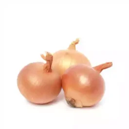 পিঁয়াজ (Onion)